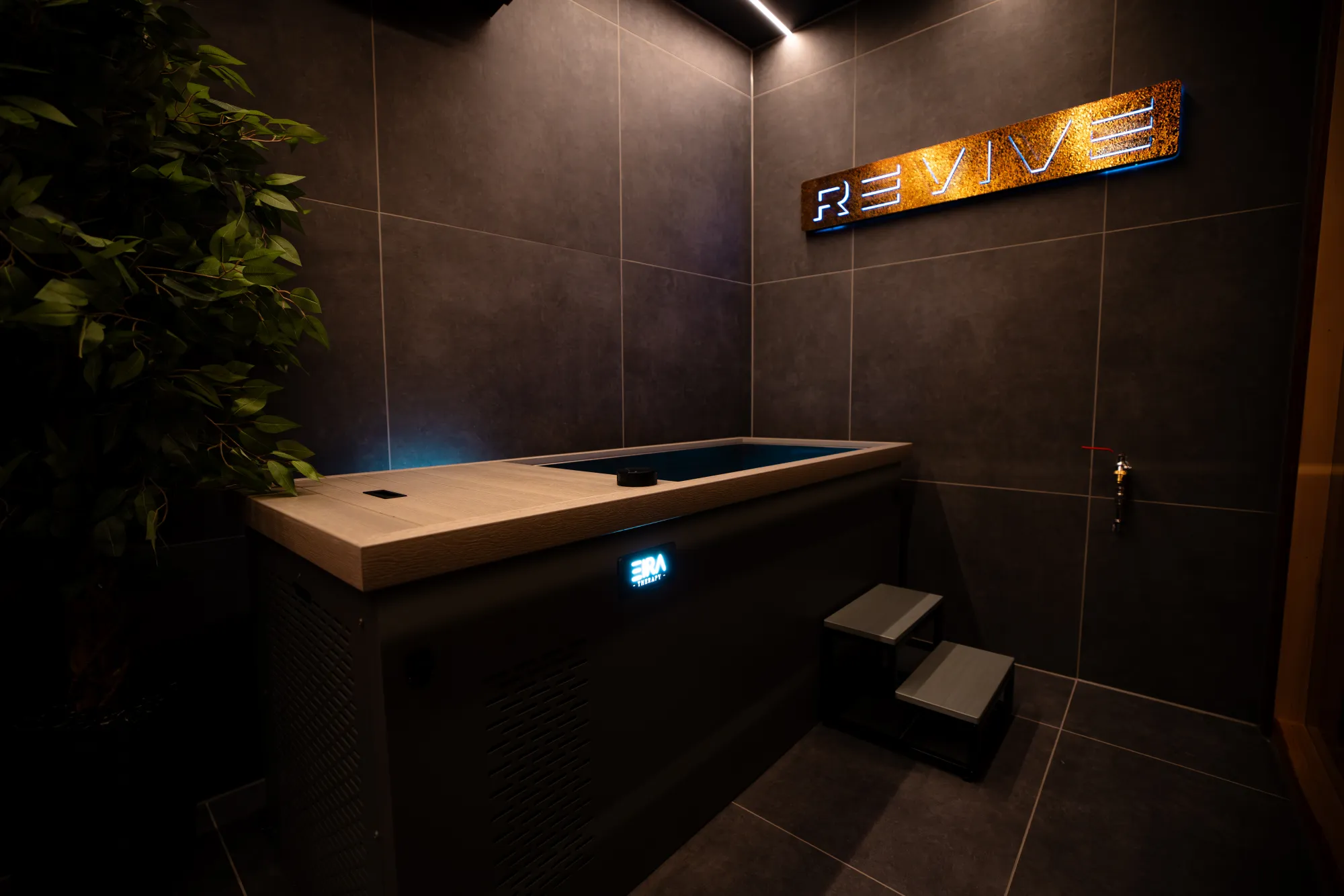 The REVIVE recovery suite