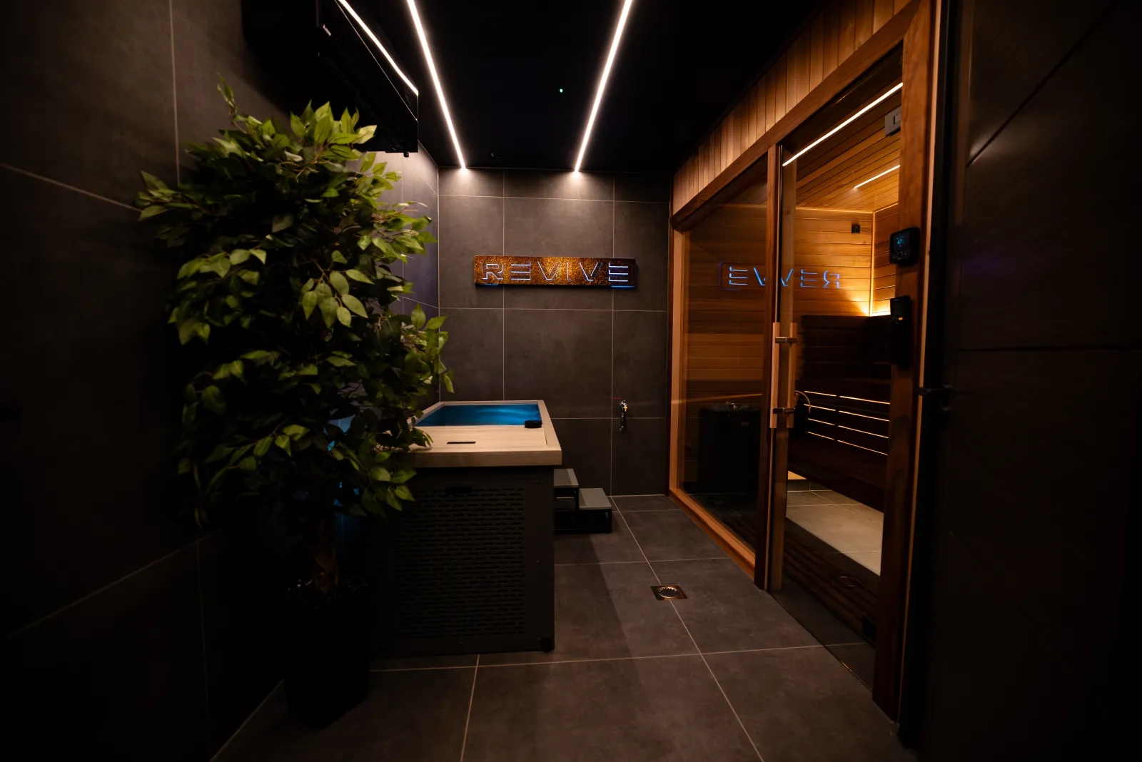 Inside the REVIVE recovery suite