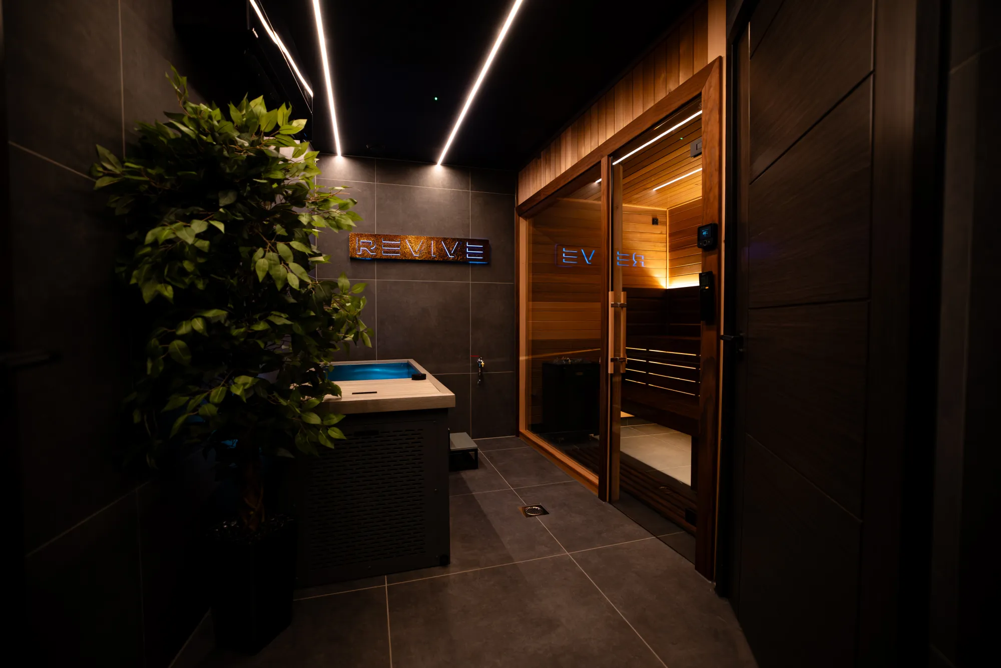 The REVIVE room — cold plunge, sauna and shower